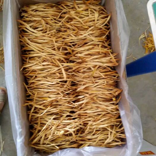 大荔县黄花菜酱