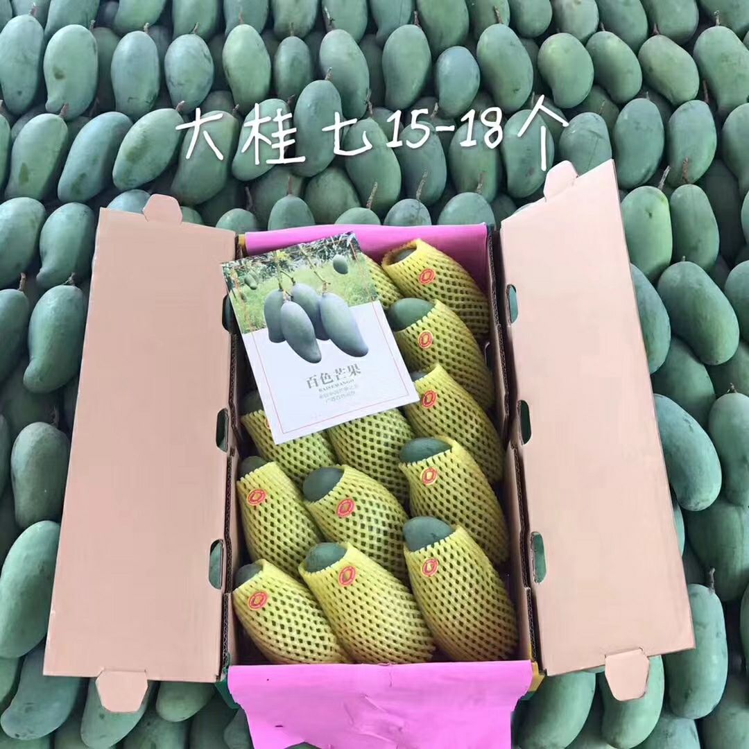 桂七是芒果中的爱马仕，应季新鲜出炉，需要的联系。