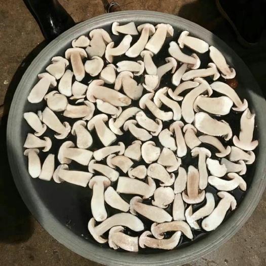 丘北县美味牛肝菌 干货，新鲜货都有
