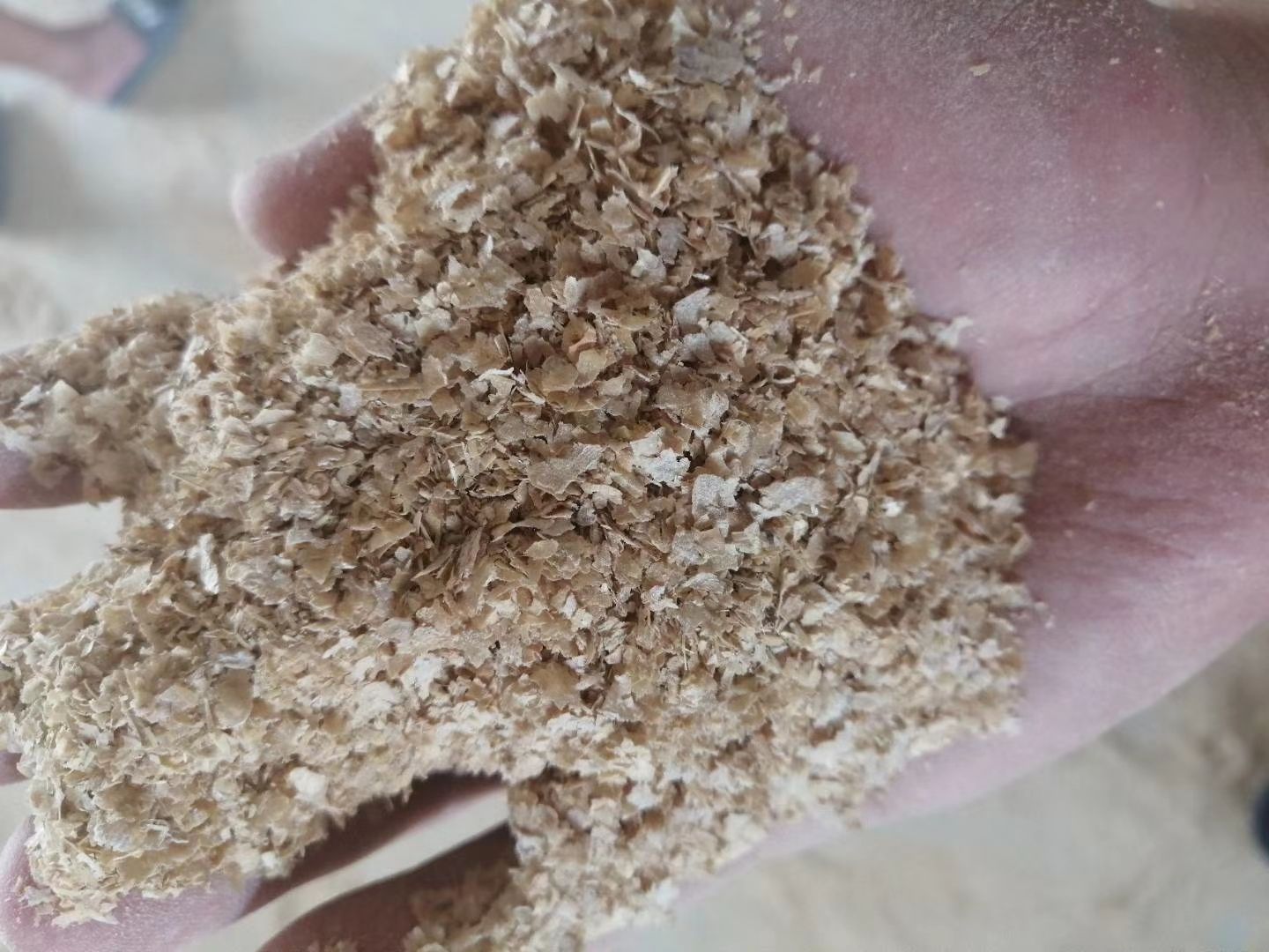 白麦  混合麸皮