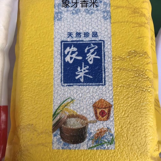 罗定市香米  象牙香 不抛光  不打蜡     新鲜现碾