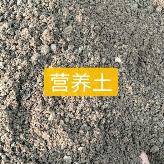 泗洪县 牛粪 蚯蚓粪