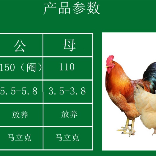 南宁 孵化场批发价快大三黄鸡苗