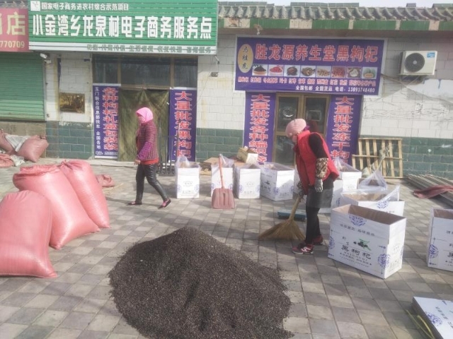 黑枸杞 大颗粒 中颗粒 小颗粒批发 甘肃玉门黑枸杞种植基地