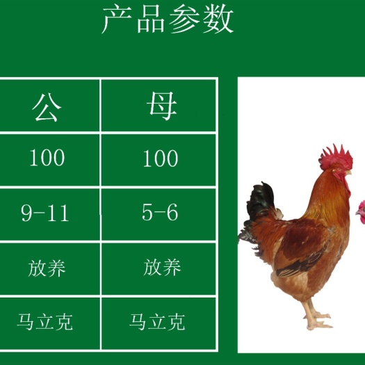 南宁 孵化场批发价良凤花鸡苗，包疫苗运输成活