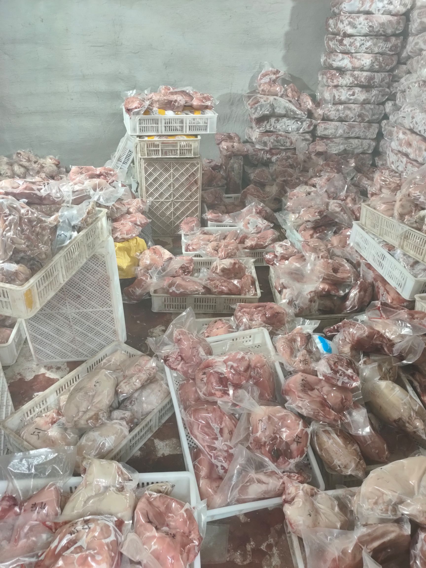 兔肉类  冷冻兔肉