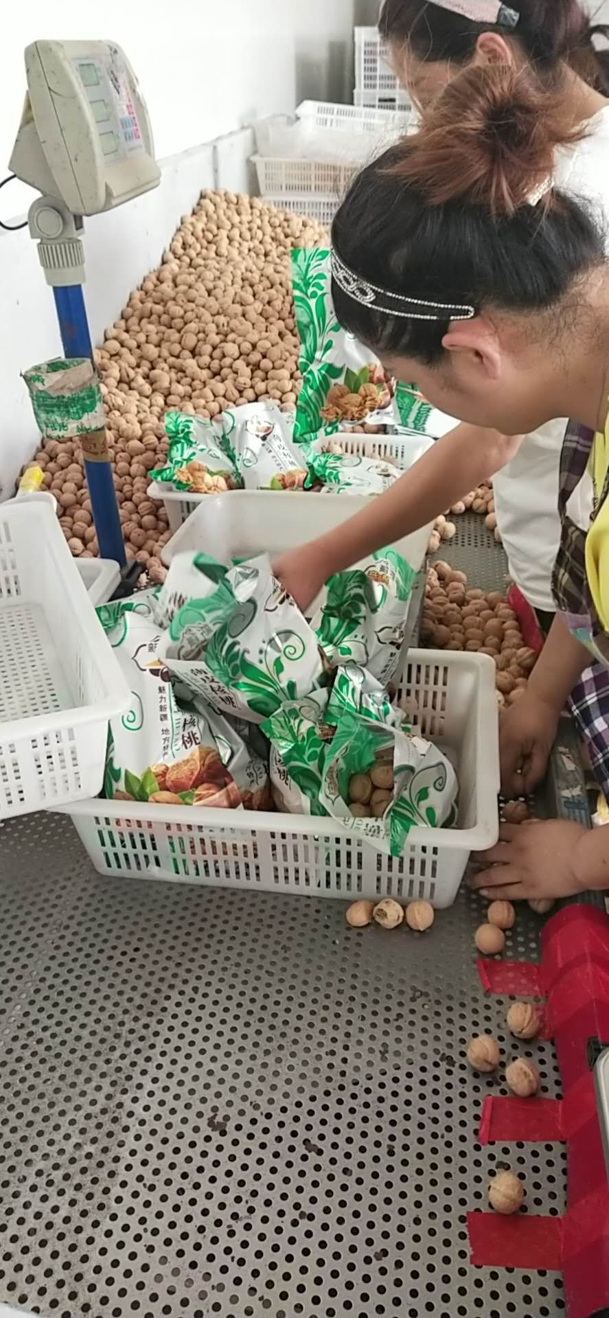 新疆薄皮核桃33幸福185纸皮核桃电商视频带货支持一件代发