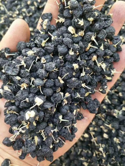 黑枸杞 大颗粒 中颗粒 小颗粒批发 甘肃玉门黑枸杞种植基地