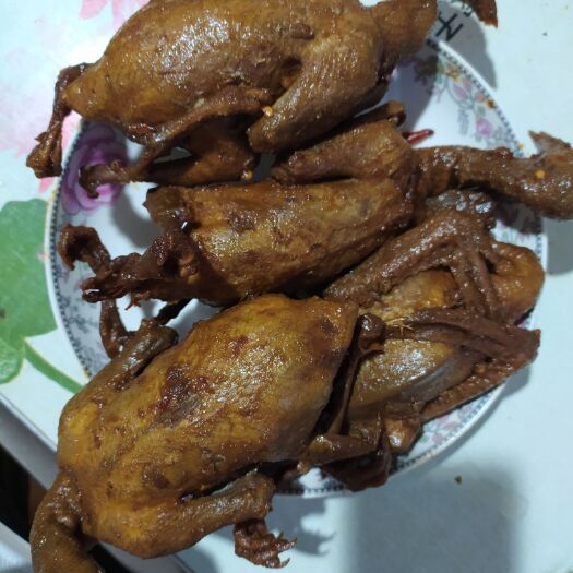临泉县 新鲜卤鸽