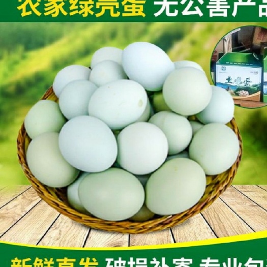 南宁山林散养绿壳乌鸡蛋