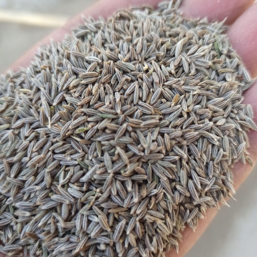 焉耆县大自然调料 烧烤调料