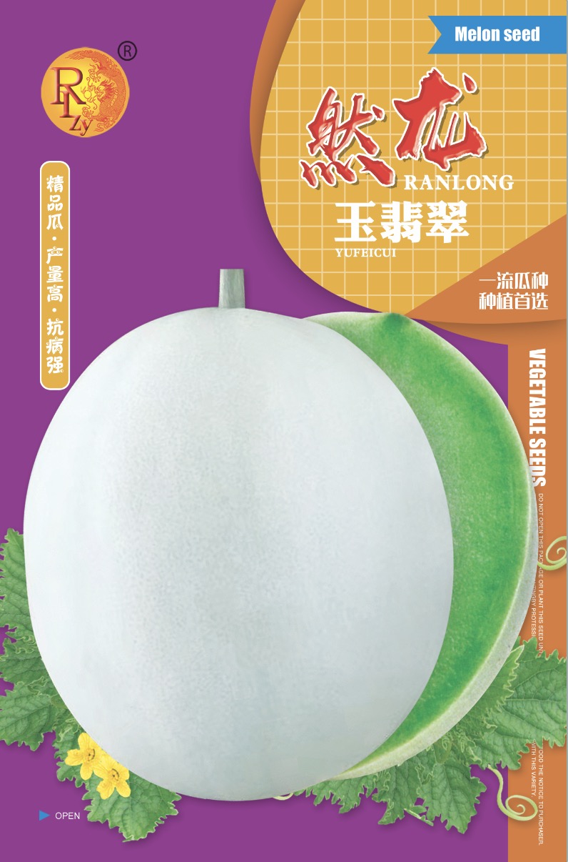 哈尔滨 玉翡翠玉姑类型哈密瓜种子