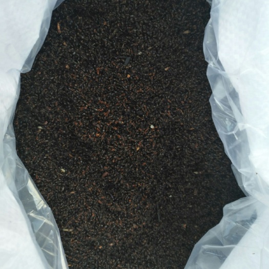 呼伦贝尔 蚂蚁量大质量好，鲜货，内蒙古，100斤发货，需要的联系我