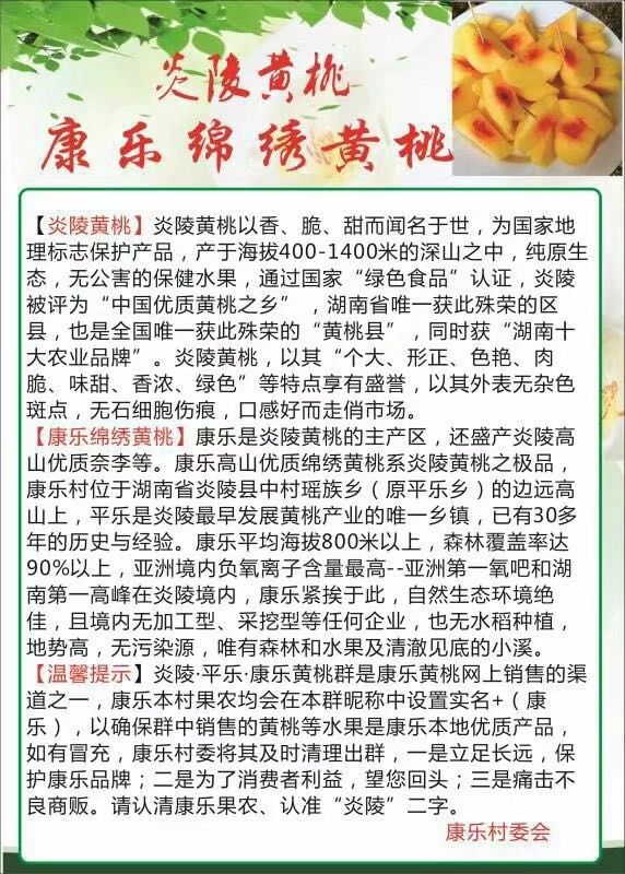  炎陵黄桃原产地现摘现卖