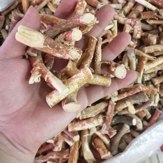 广州 五指毛桃
