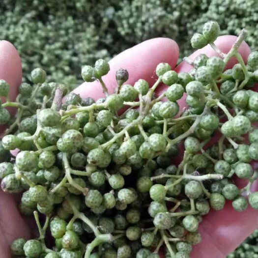 荆门 青花椒出售 量大从优