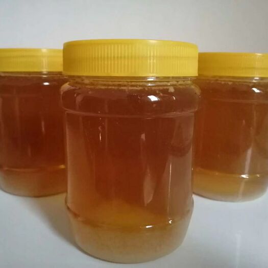 乐昌市 自家深山养殖天然绿色土蜂蜜，品质保证！