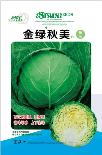 绿甘蓝种子  金绿秋美秋季高抗黄萎病黑腐病，