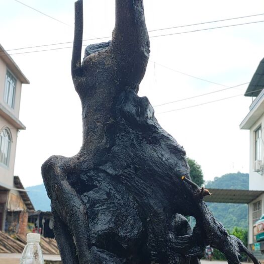 永福县 金弹子桩