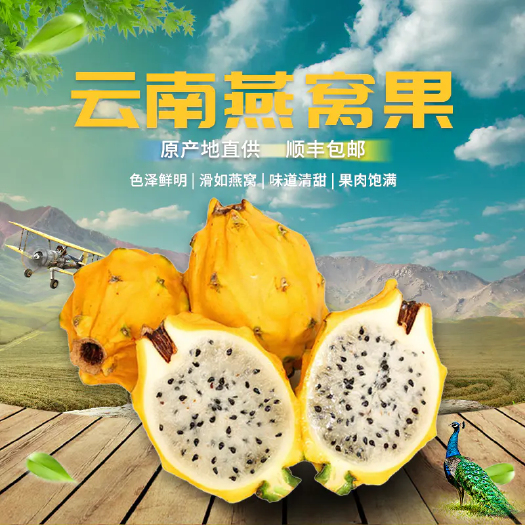 弥勒市火龙果  云南燕窝果包邮一件代发