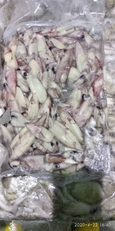  马来西亚鱿鱼，马来笔管