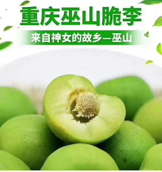 巫山脆李 味甜青脆