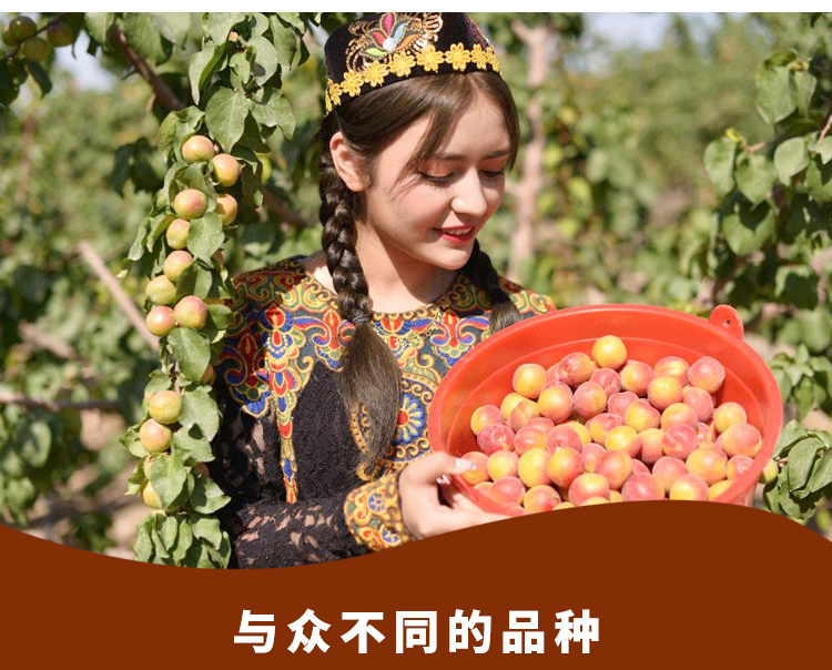  新疆小红杏应季新鲜现摘水果自然成熟鲜甜多汁果香扑鼻顺丰包邮
