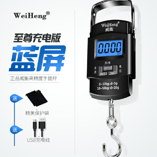 广州电子秤 手提电子称