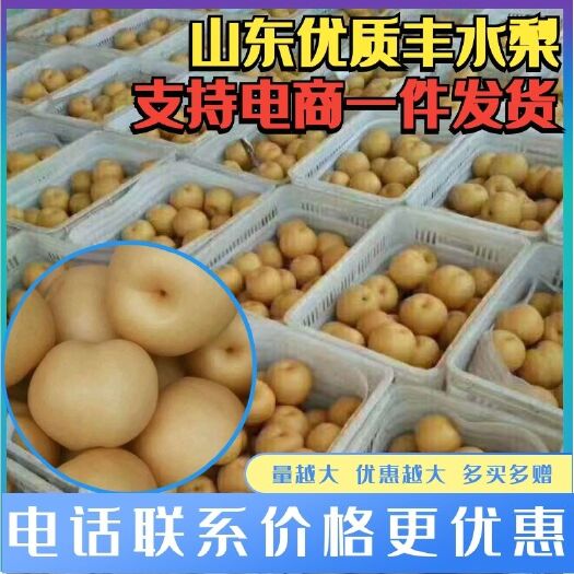 冠县 山东冠县大量丰水梨即将上市，口感脆甜，糖度可达十六左右