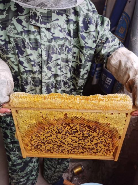 德保县百花蜜  广西百色德保 天然农家百花蜂蜜