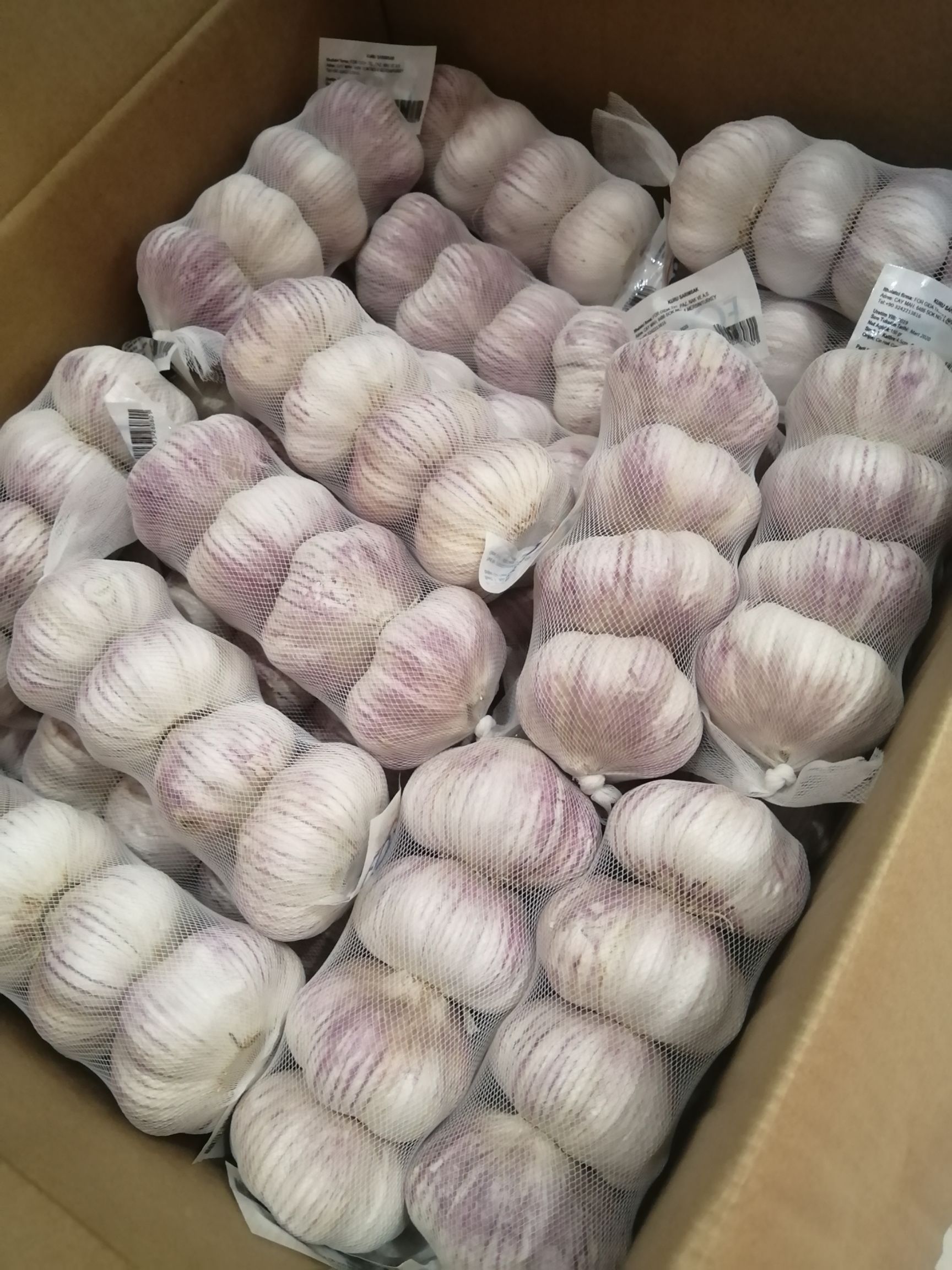  干蒜   紫皮大蒜  质量好价格低  产地直供