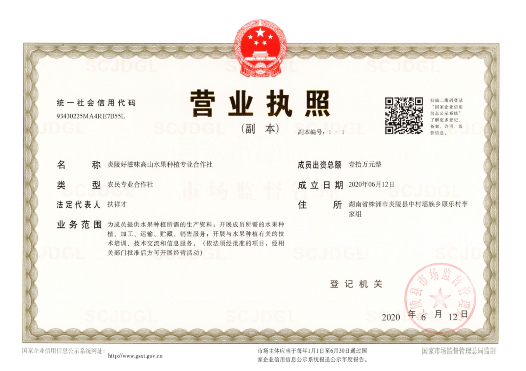  炎陵黄桃原产地现摘现卖