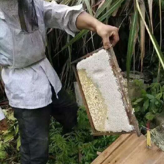 漳平市土蜂蜜 天然健康甜蜜蜜，馨享香甜，源于自然；
天然的甜蜜，甜蜜的健康