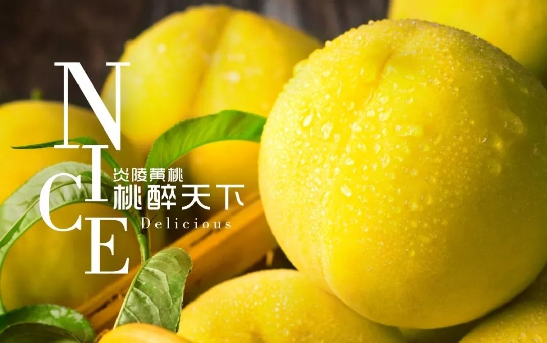  炎陵黄桃原产地现摘现卖