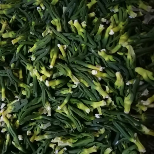 广昌县莲芯茶 莲心  新货连子心，产地直销