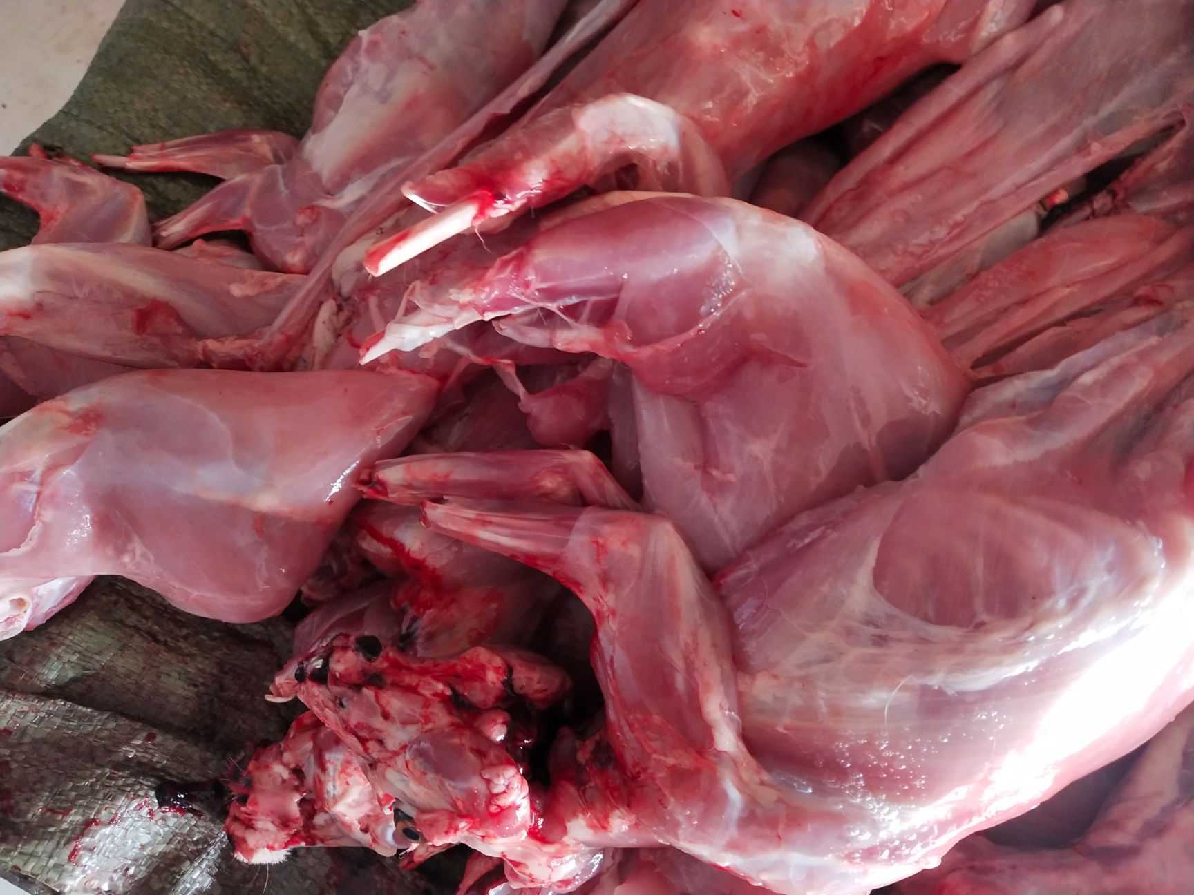 兔肉类  鲜兔肉新鲜兔肉散养现杀速冻后发货2只起整只兔肉生兔