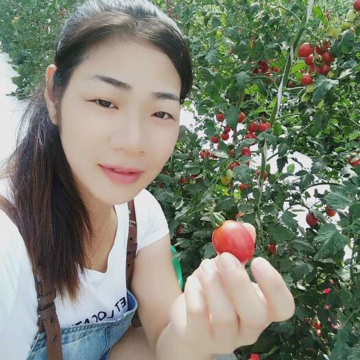 信丰县 新鲜圣女果