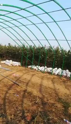  包塑椭圆大棚骨架，养殖大棚生产厂家