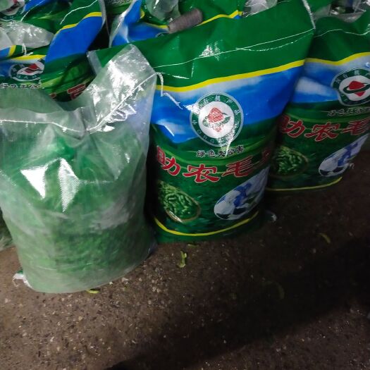 郯城县绿宝石毛豆
