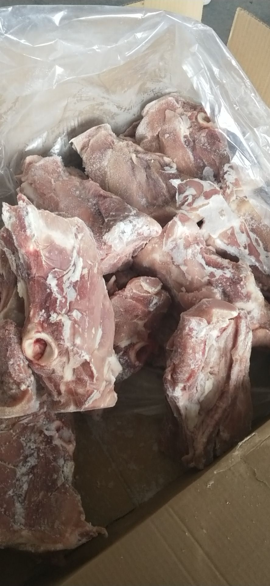 六分体 多肉叉尾骨 带肉百分之50 货好