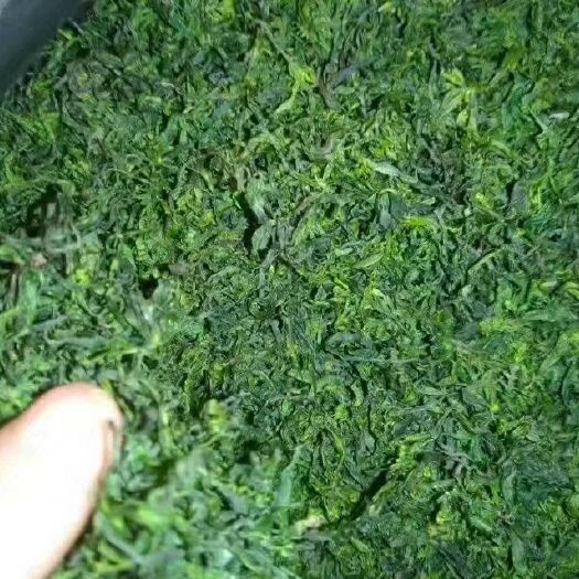 余庆县苦丁茶 小叶苦丁袋泡茶