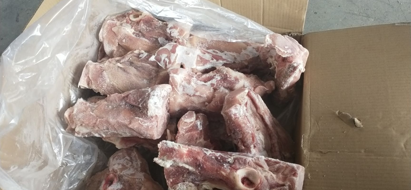 六分体 多肉叉尾骨 带肉百分之50 货好