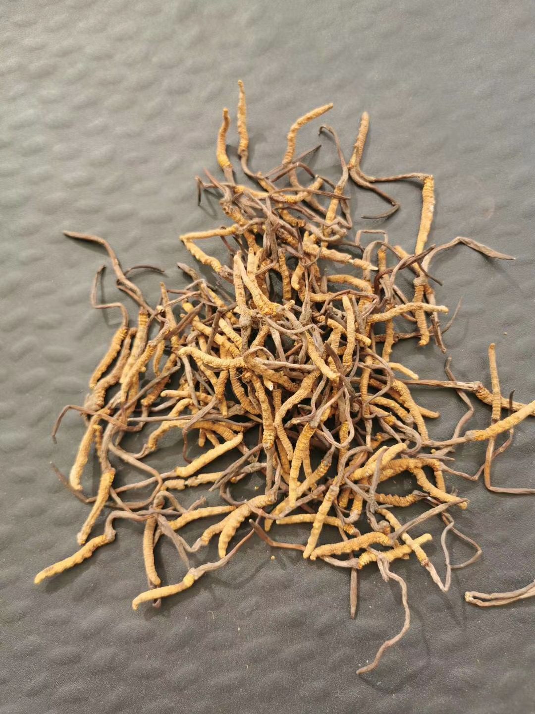 果洛州雪山虫草 青海果洛草9块一根