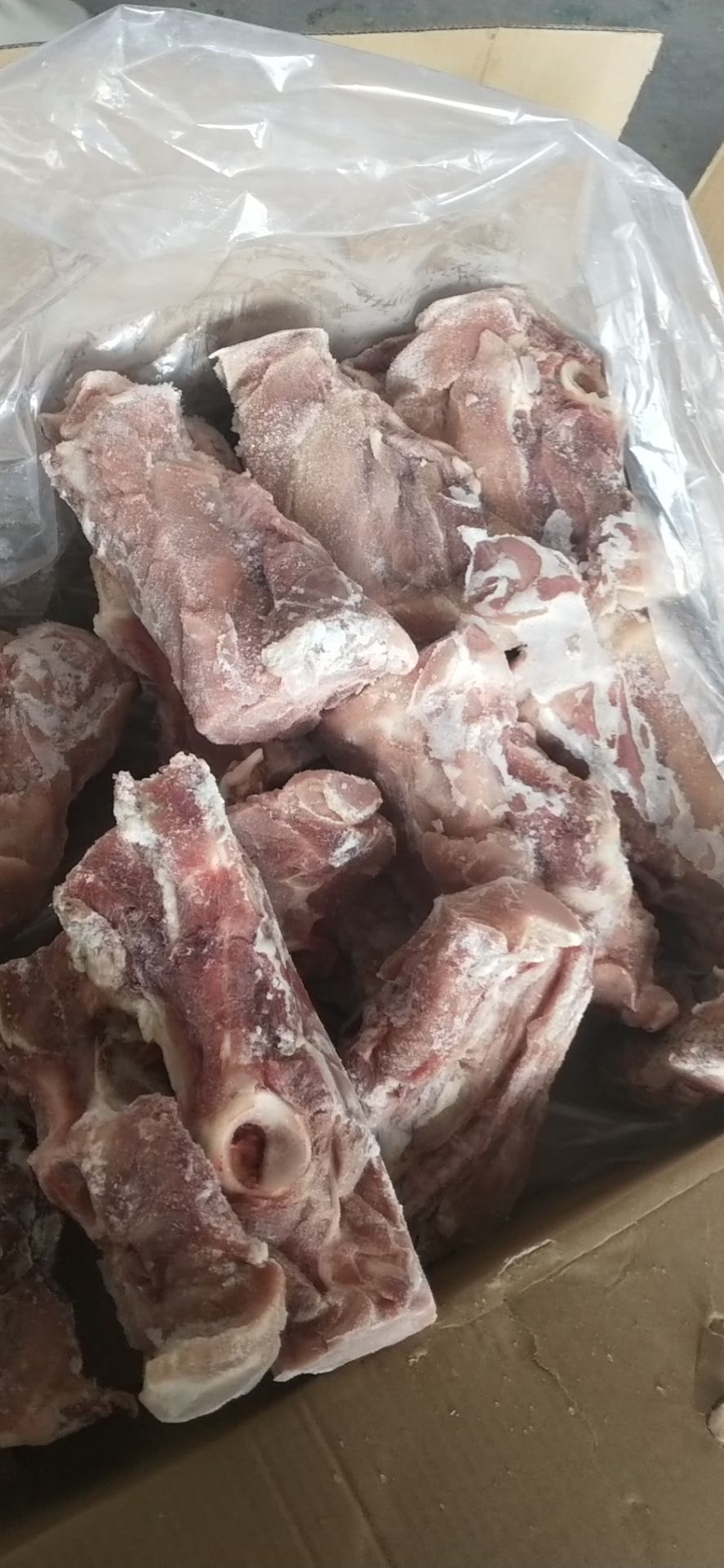 六分体 多肉叉尾骨 带肉百分之50 货好