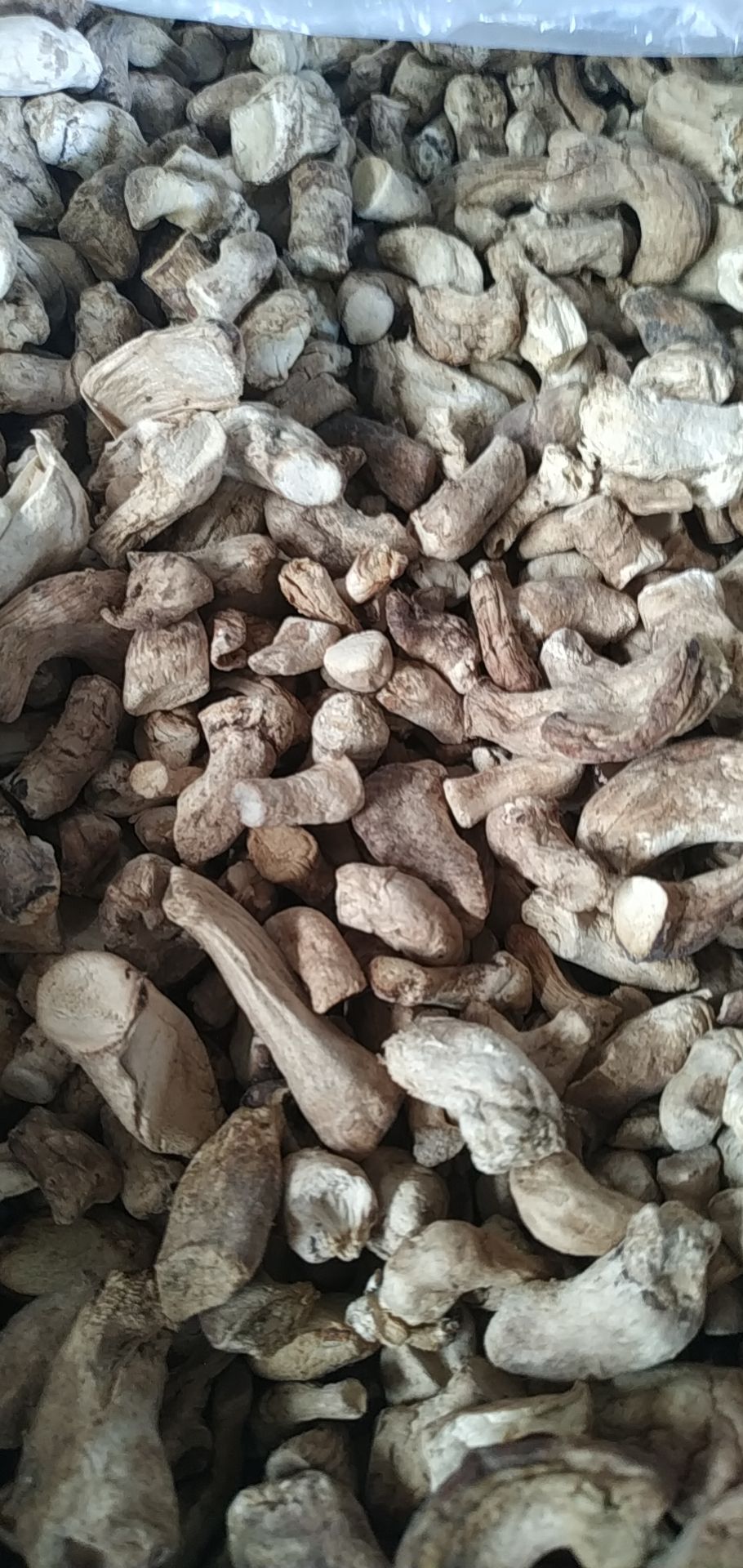 香菇脚 (双剪统货)陕西绿昌隆农副产品有限公司