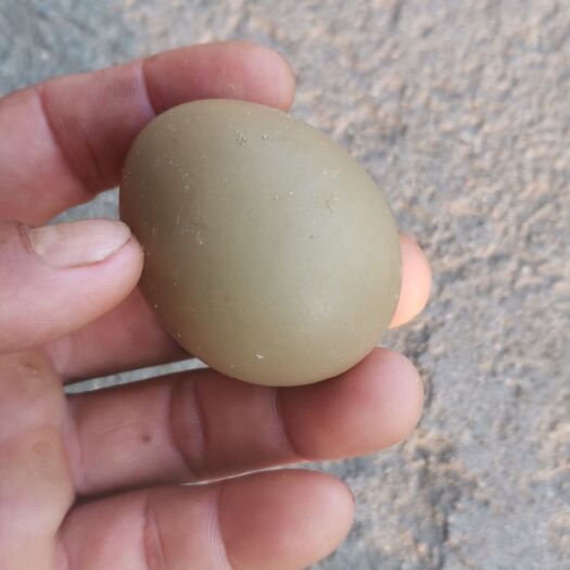 抚州 山鸡蛋营养丰富适应老年，儿童补钙。