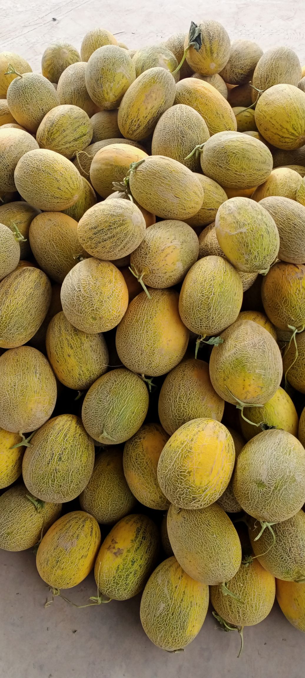 ٤ʦ٤ʦ 3
