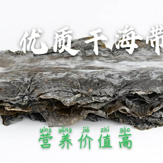 干海带，无黄叶无沙无包心，地推菜市火爆热销品