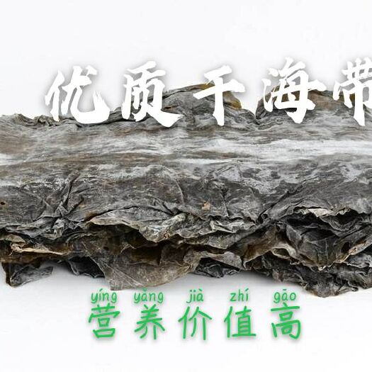 重庆市干海带，无黄叶无沙无包心，地推菜市火爆热销品