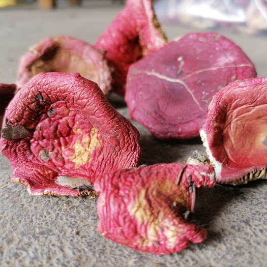 随县红葱菌  通货红菇上新了，包邮包邮啦，欢迎下单